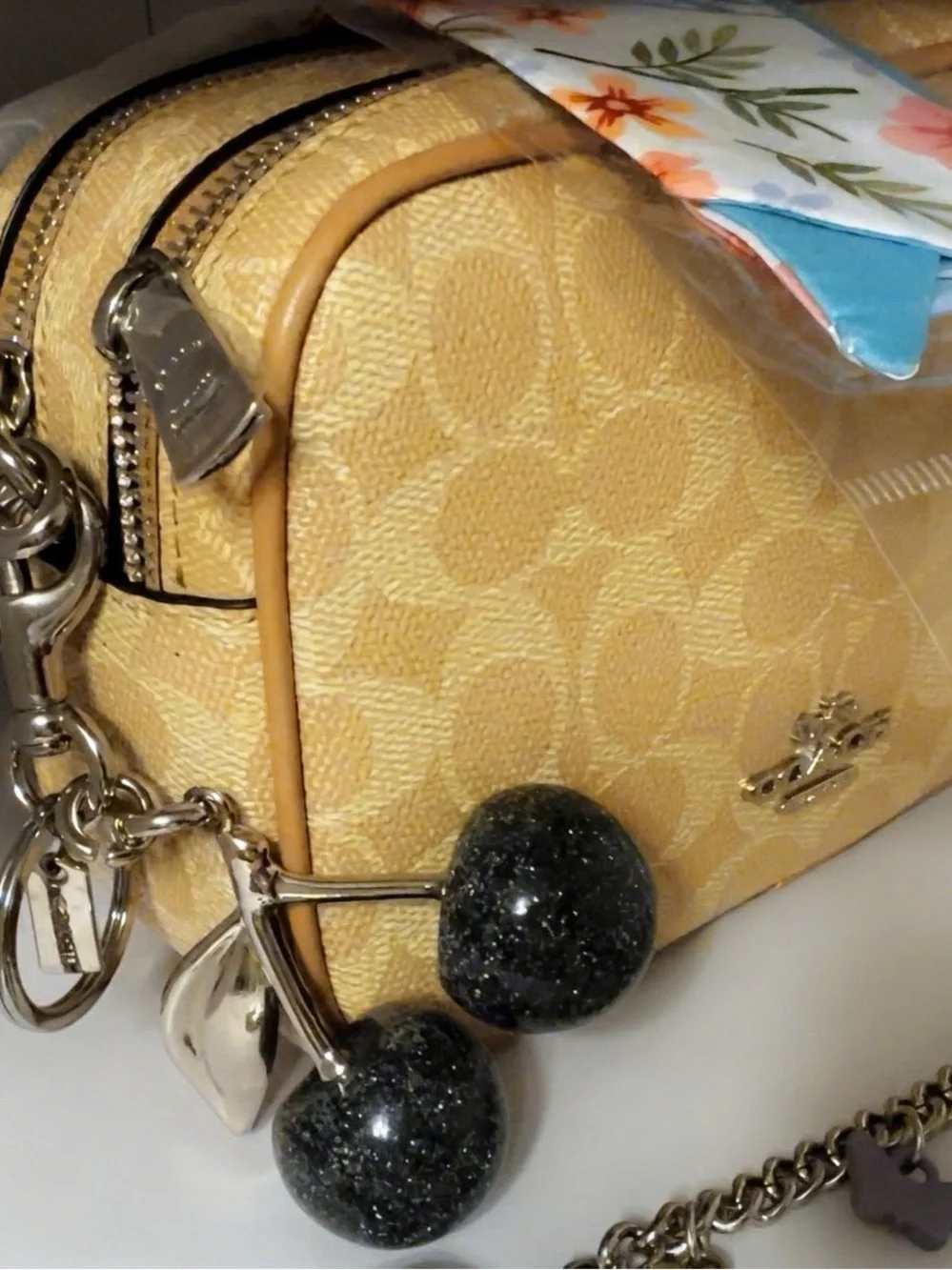 Coach Carey Crossbody Bag